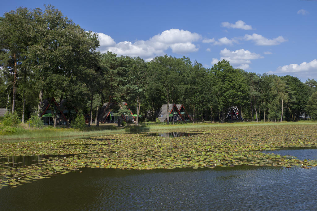 'T Vosseven Vakantiehuizen Stramproy Zimmer foto